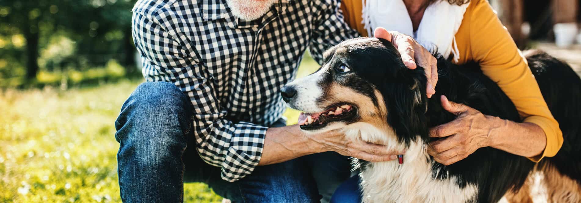 2 people petting dog