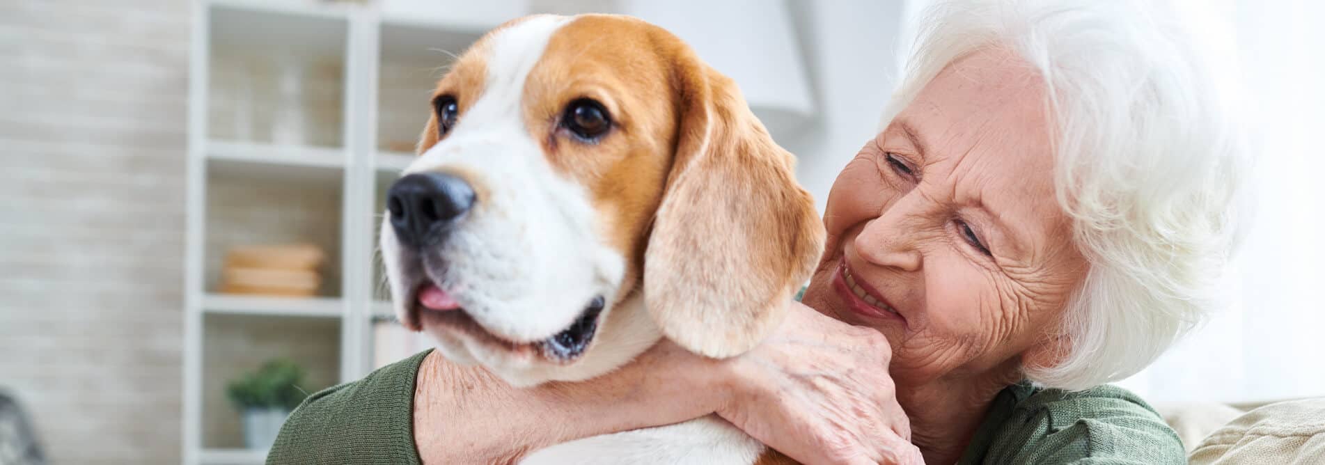 Woman hugging dog